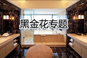 品種介紹——黑金花 