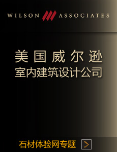 美國威爾遜設計公司專題