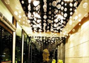 黑白根應用的實例