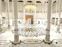 品種推薦|悠悠風韻——中國白